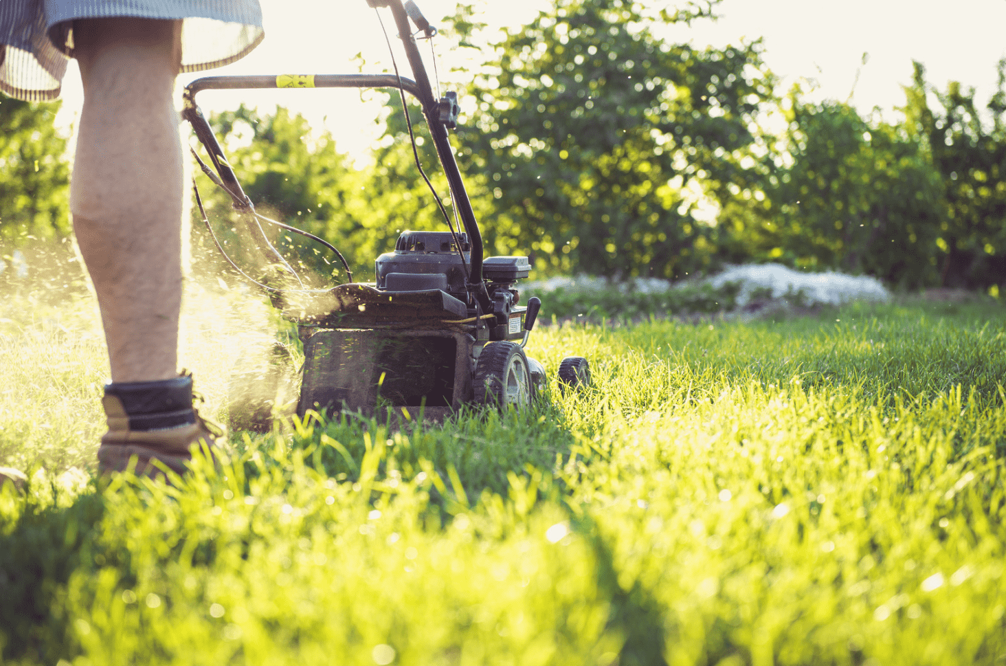 Man mowing lawn Man mowing lawn